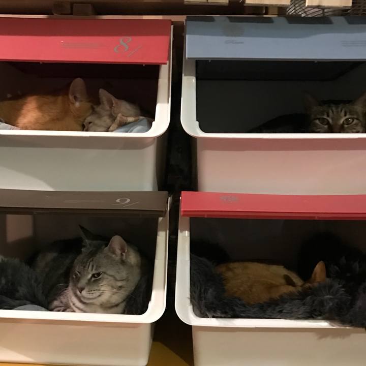 E64a9cc0 160c 493a a0aa d76622626450