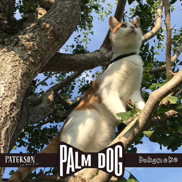 E64b479d 39d7 4e36 8520 aa72d15f6f11