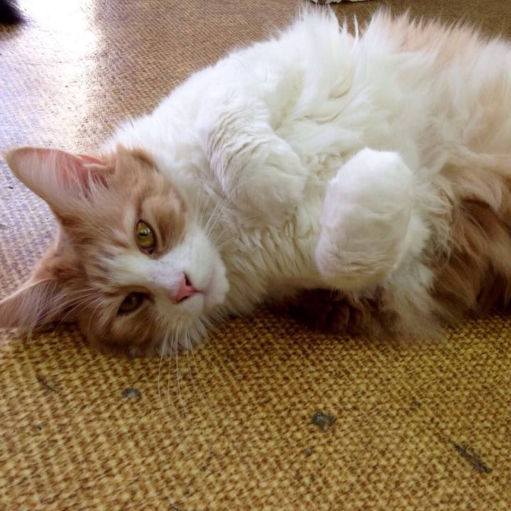 E64b5e38 016b 4baa ad63 5434249f2d12