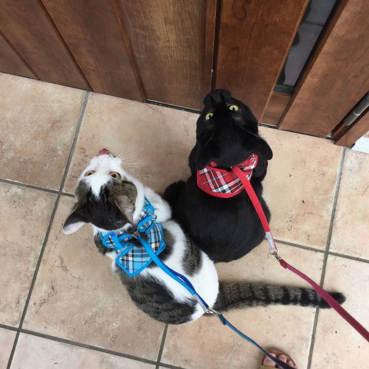 E64b8cd4 4b21 4446 98e4 750b43b7496c