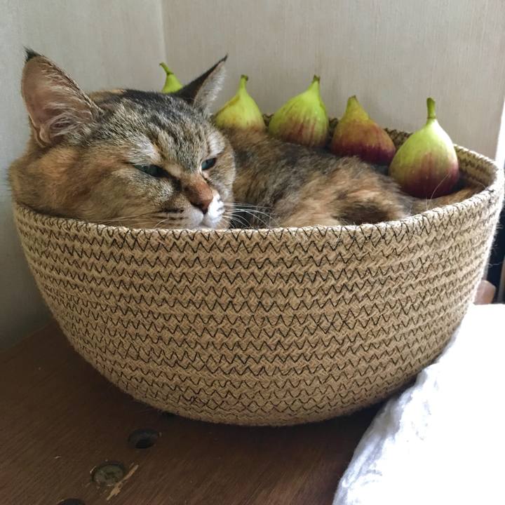 E64d1e31 eb22 4724 a0ed 5c8d4aa9069c