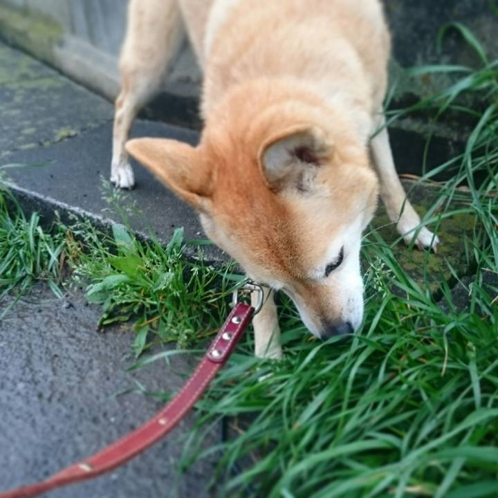 E64d66fb 05d1 47e2 a2c2 86df0320c5f6