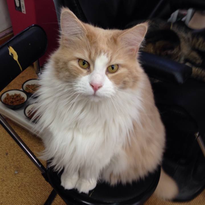 E64d89d7 7bf7 4a37 8ce5 edf874cf8625