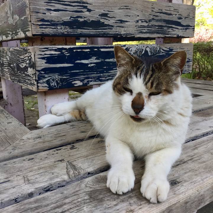 E64ddcb7 8886 416f 9bff 7c1c4a5f292a