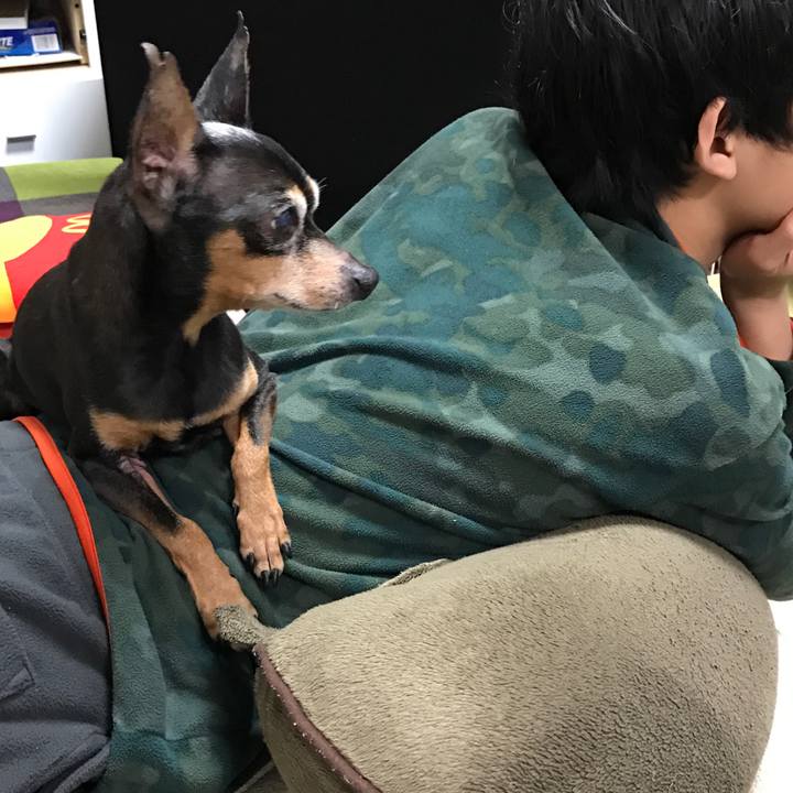 E64e261d 24f1 44ba b213 d90a9fee9844