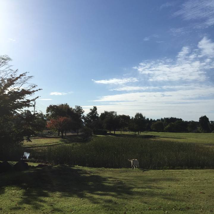 E64e39b0 98d7 4e8f bba6 19f52235e35e