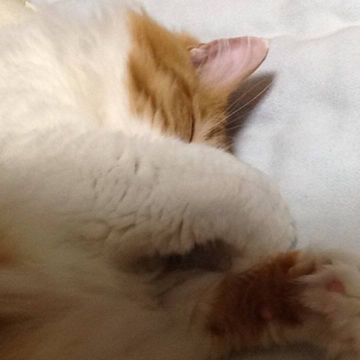 E64f1638 27bb 4583 8604 4dca1893cb84