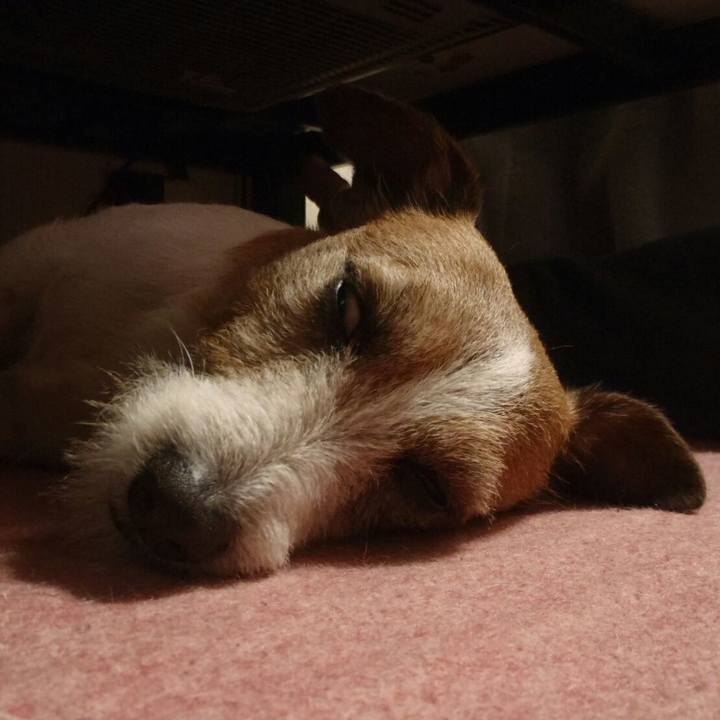 E64f9cff 062e 4154 81a4 d59046da00d2