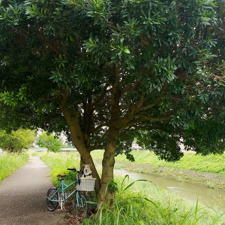 E650e1e3 43bc 4a92 9bbe 6bead44e402a