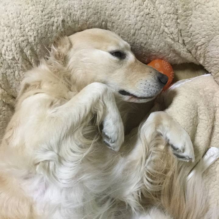 E65100b1 419a 4fdd 8831 ad8a7c883a76