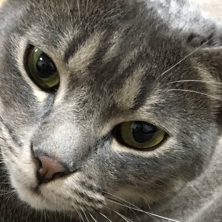 E651853f d6d0 412e 9471 c68754b363dd