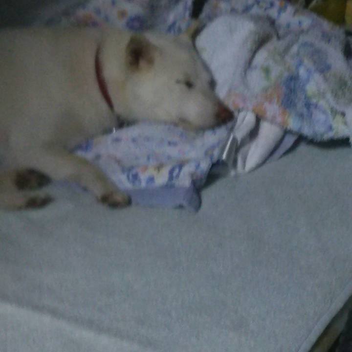 E651db2b 7e52 44b3 952c 625cf4eb9f97