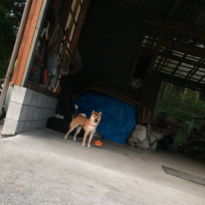 E65208c1 5eb3 4cf6 b53c add6adb3ffcb