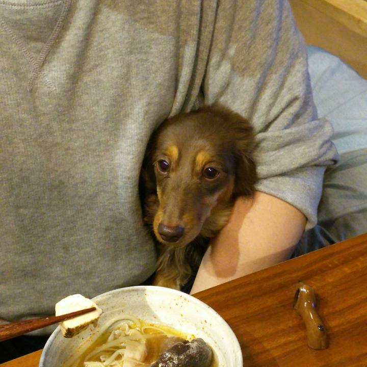 E6526202 ae09 421c 9bd6 c2c04afcac6a