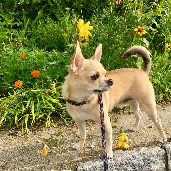 E6535a6b 7a8f 4a23 8fbe 084fbf17a885