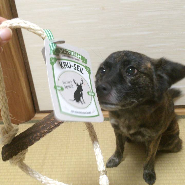 E653a86a eb46 4429 9d7a 1b81d98fb8b5