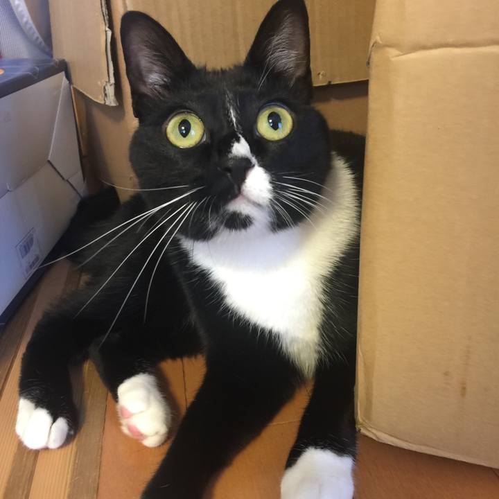 E653b3be 4aa5 4651 82be f9af8d6ae010