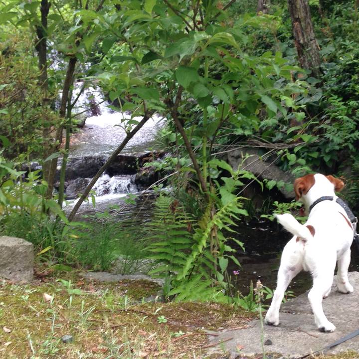 E6544932 4b69 4bd9 9a77 82abd63735f3