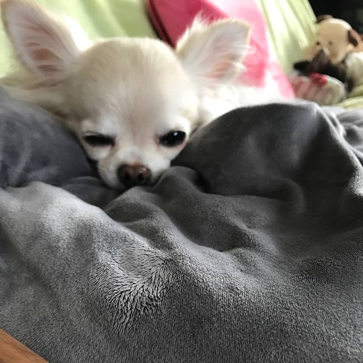 E6547bb2 e8a5 4632 8508 e7e370a543a2