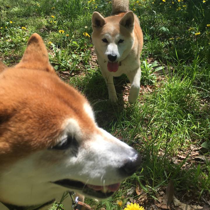 E654a105 97e4 4ecc bf78 3f934de4e505