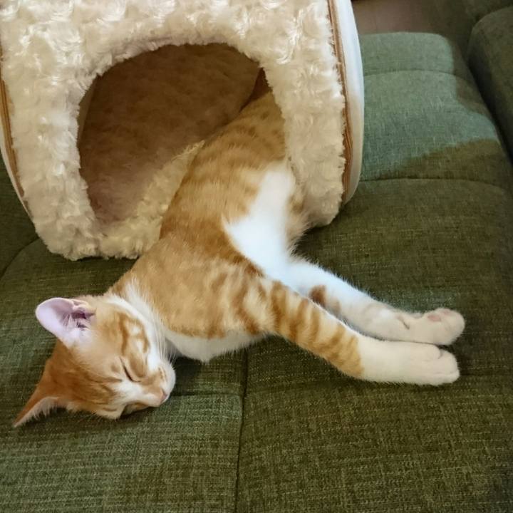 E654bc90 45a9 4e0d 8401 c58431b0f199