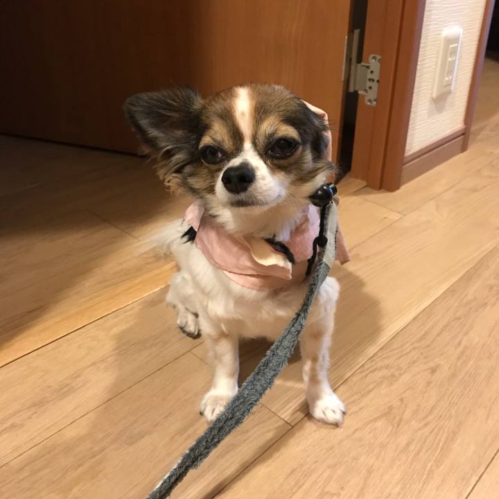 E654c15c 2b0a 4843 8805 2883b1ffbf06