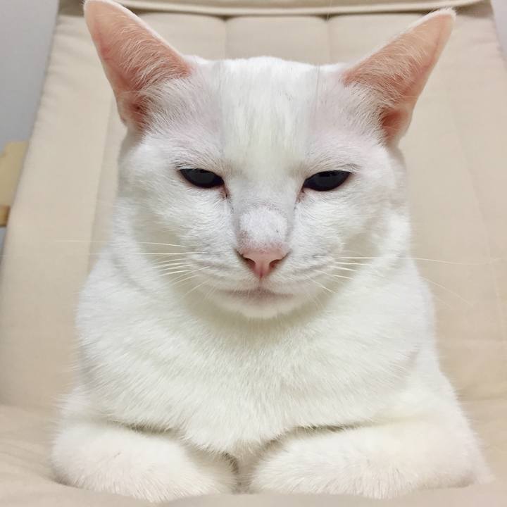 E654f1cc 68ef 4665 8bcc 8604c7fcaabc