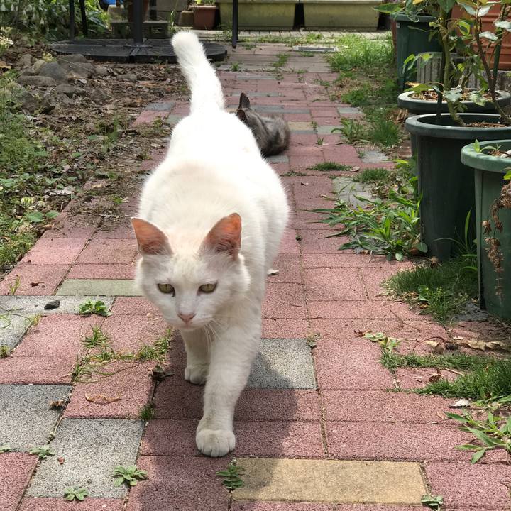 E6552158 5869 46a1 8a71 bbefe38242f6