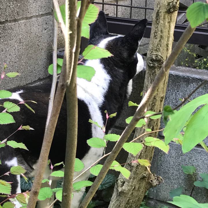 E6552e5e 1cb2 48f9 b6e7 1b77700bcf2c