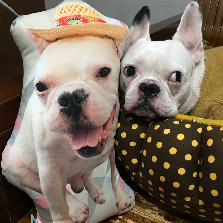 E65569fc 39d9 463e b8f4 9234f9bfbb1b