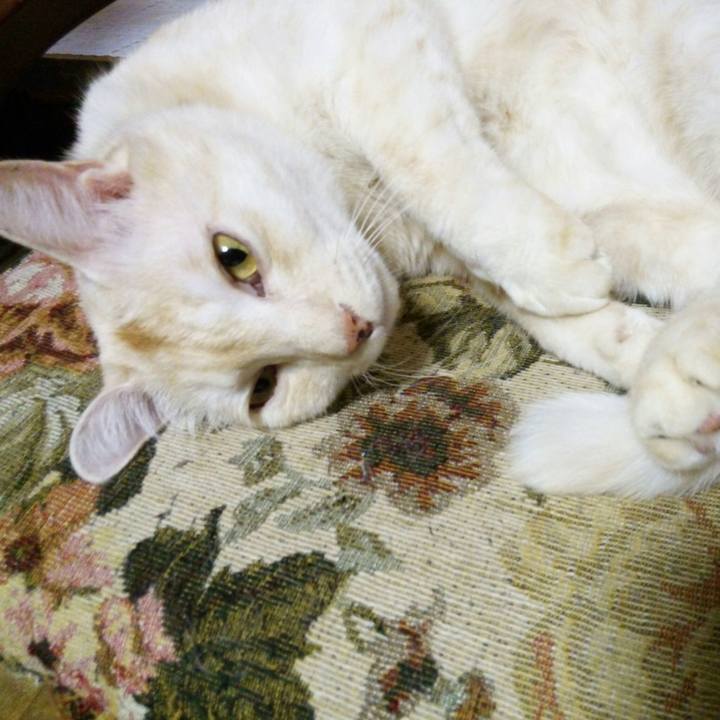 E6564002 8558 4b6d a382 8a0410ddfe5a