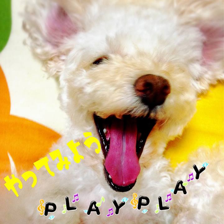 E656c869 ebb2 4ea7 b7d3 786543ab71f9