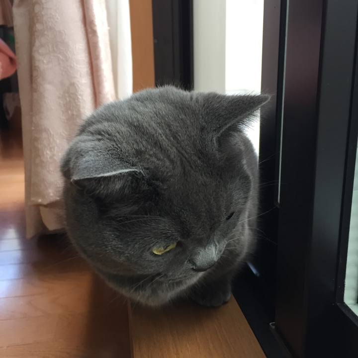 E65705ee 0c2a 48ef be2c 1e2db92dfcea