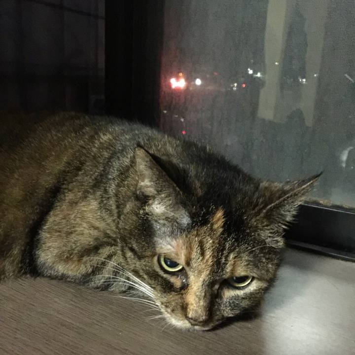 E6571cc1 ebdb 4b36 b0ab d73d5d158a3f