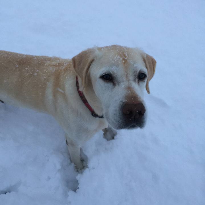 E657488b 45e5 43e8 baaf 9f94f510c3aa