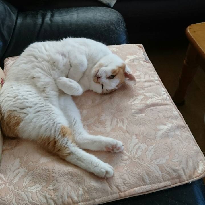 E657ddb8 67c0 4adc 8ed3 6baf03f287a6