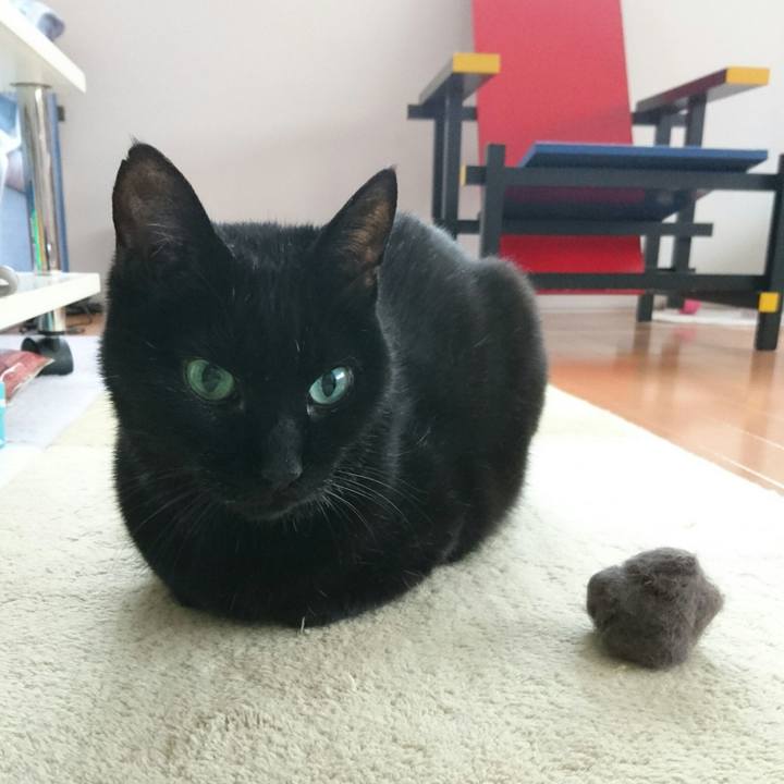 E658467b 3191 43ef 82a4 10d55cc258d0