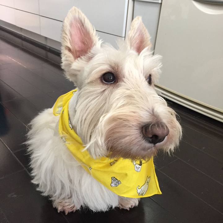 E65866ef a086 4c44 90d2 04d6762d79c5