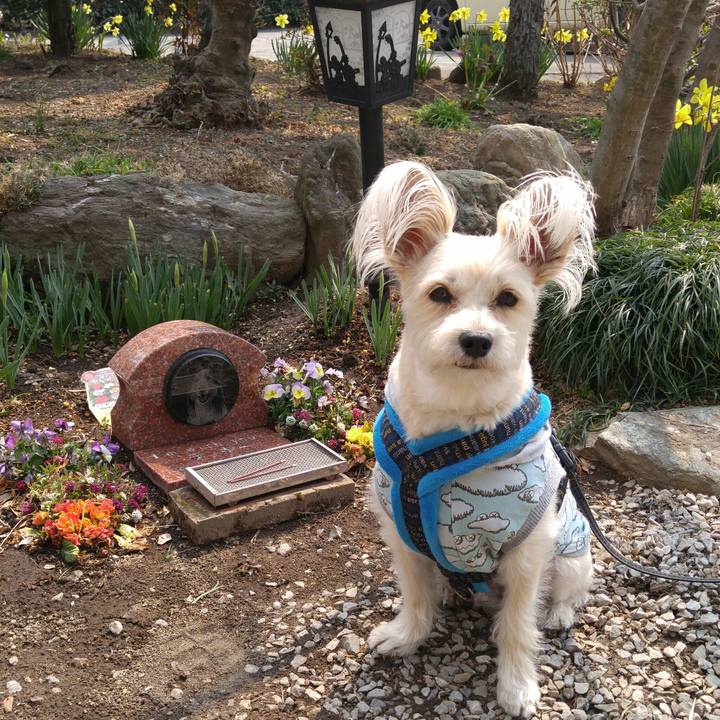 E6588ea1 ab11 4ef3 9cb0 f88c40c1923c