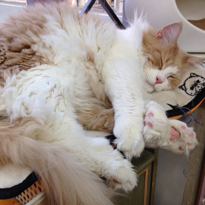 E658edf3 563a 4f5a a9a8 0ca56c72cc22