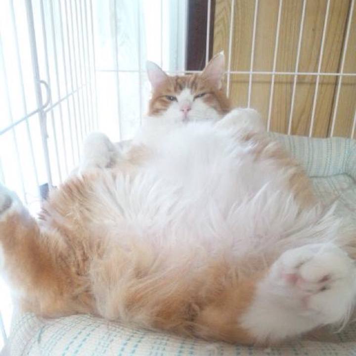 E65946e9 6be9 4676 8ae4 245ea52143be