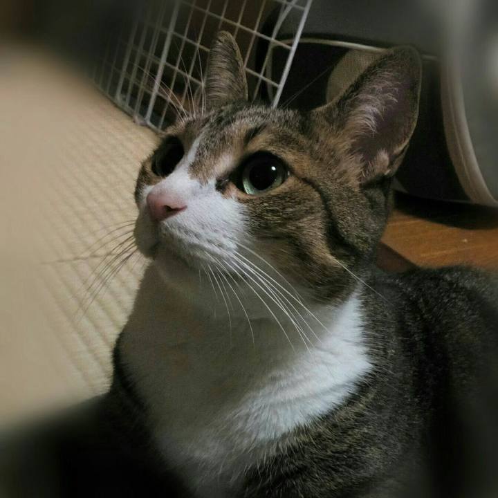 E65abde6 8ecc 4e71 8d55 a2fedf624b16