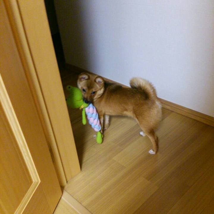 E65c2183 5d6d 46a6 ba0a c2408df4e278