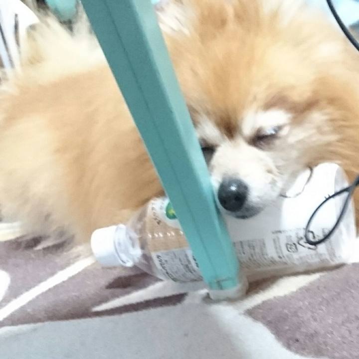 E65c8107 1bfb 4002 a663 69cede0c72dd