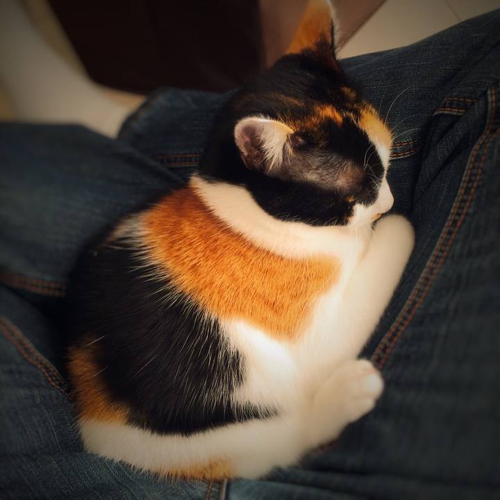 E65cb842 375f 4bc1 b8c6 151cb2dceebe