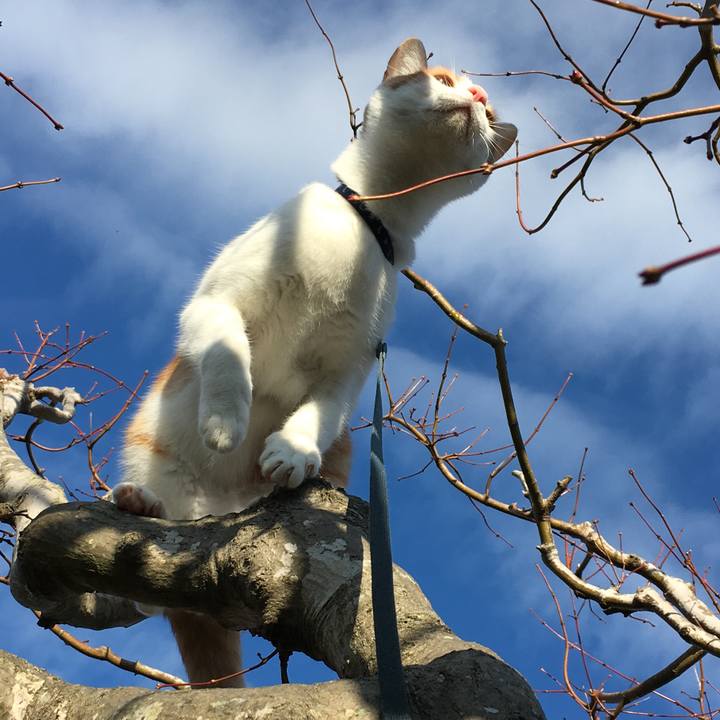 E65cbb1a 6691 41d2 9034 14f2b92cb853