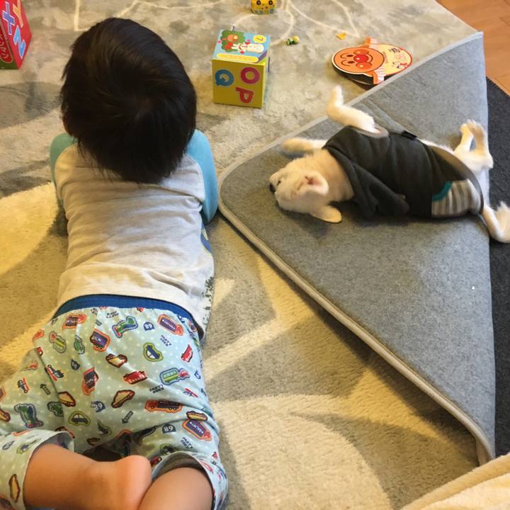 E65d597d e973 4e59 b6c8 9aac3e663def