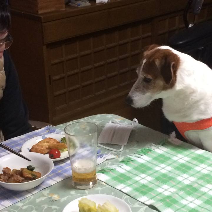 E65d66b0 7012 495f 908c eb1a0ee22700