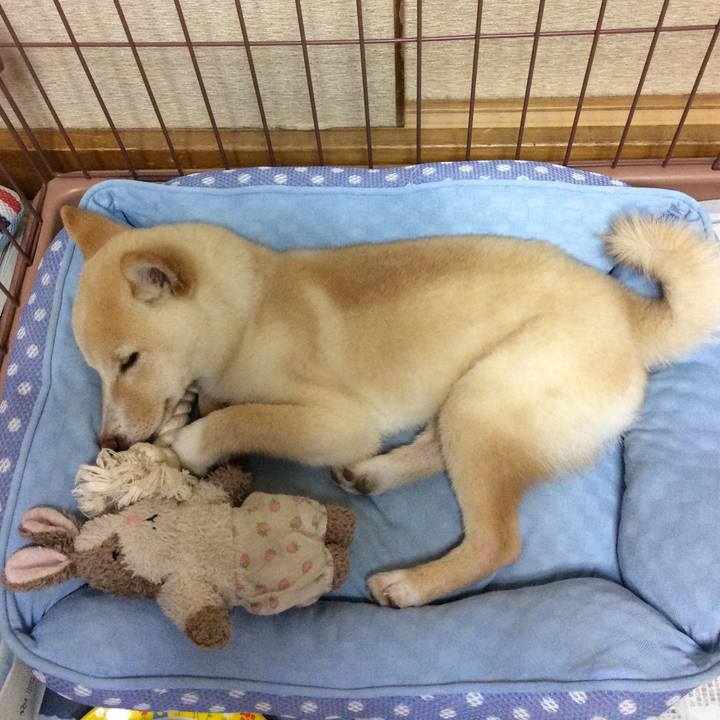 E65e9437 35c9 4215 b40e ed55d695f9e4