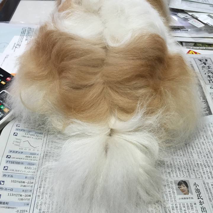 E65ec80a 17ef 43bc 8d99 667845021583